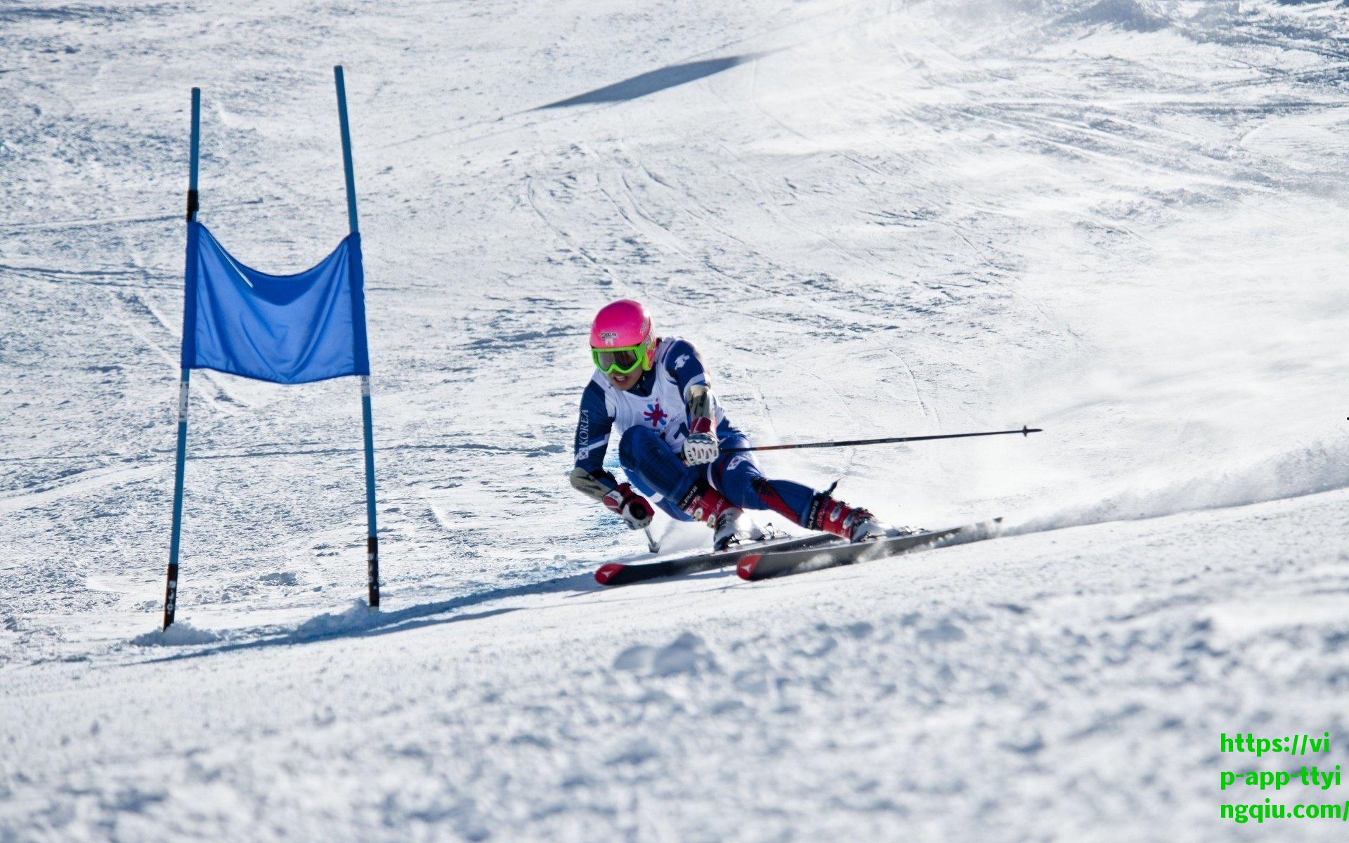 用智慧弥补天赋,沃顿的篮球哲学如何重塑比赛